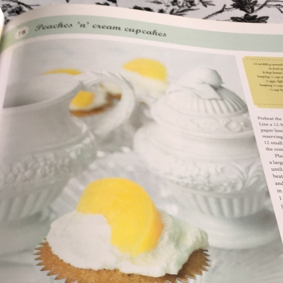 1001 Cupcakes Cookies & Other Tempting Treats Hardcover 2009 - Picture 6 of 11